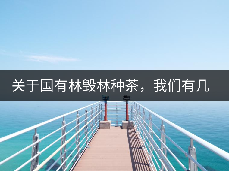 關于國有林毀林種茶，我們有幾點不得不說