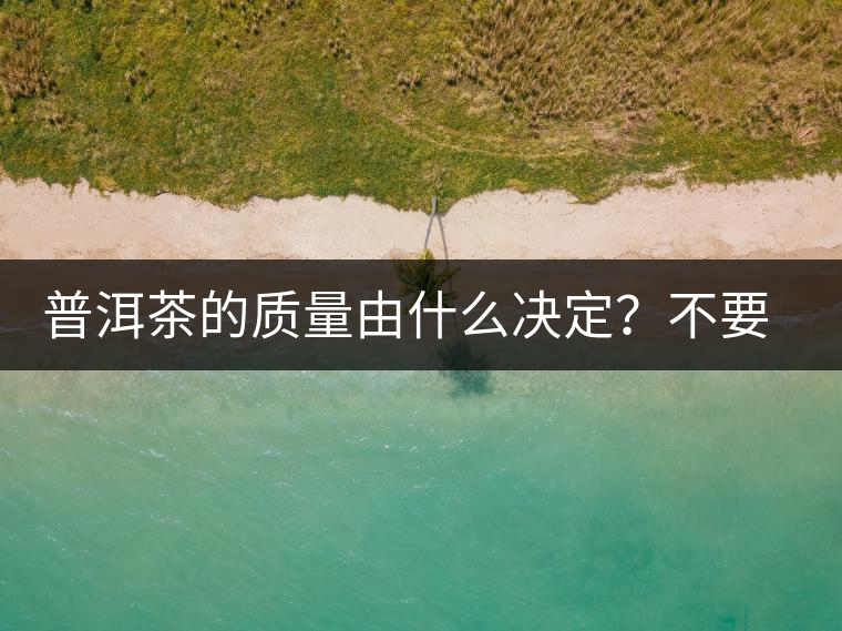 普洱茶的質量由什么決定？不要輕信等級