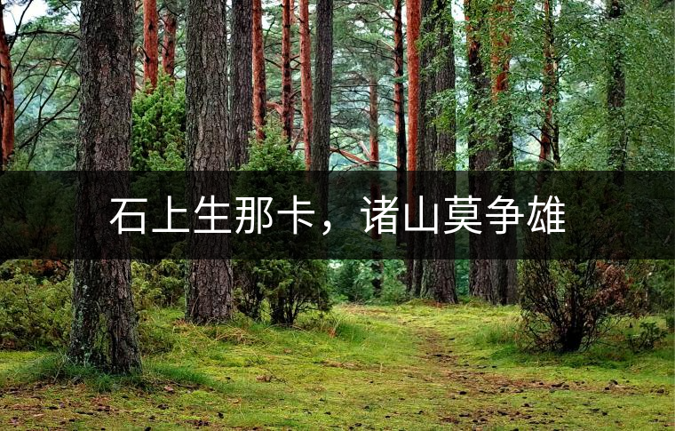 石上生那卡，諸山莫爭(zhēng)雄