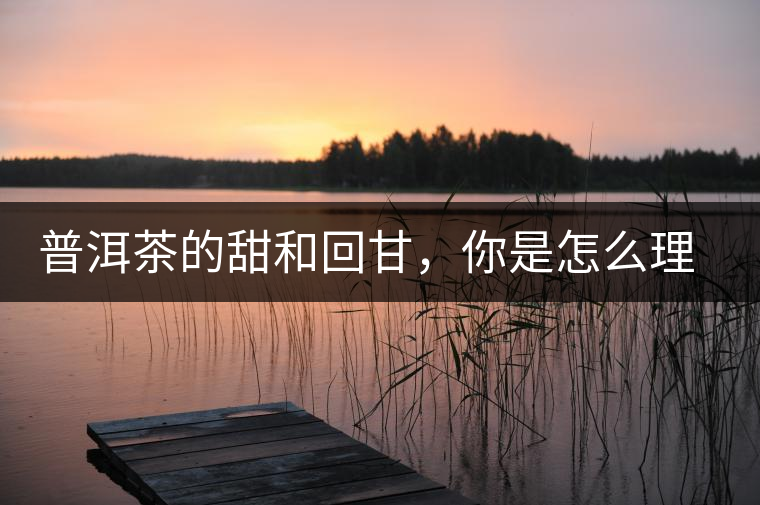 普洱茶的甜和回甘，你是怎么理解的？