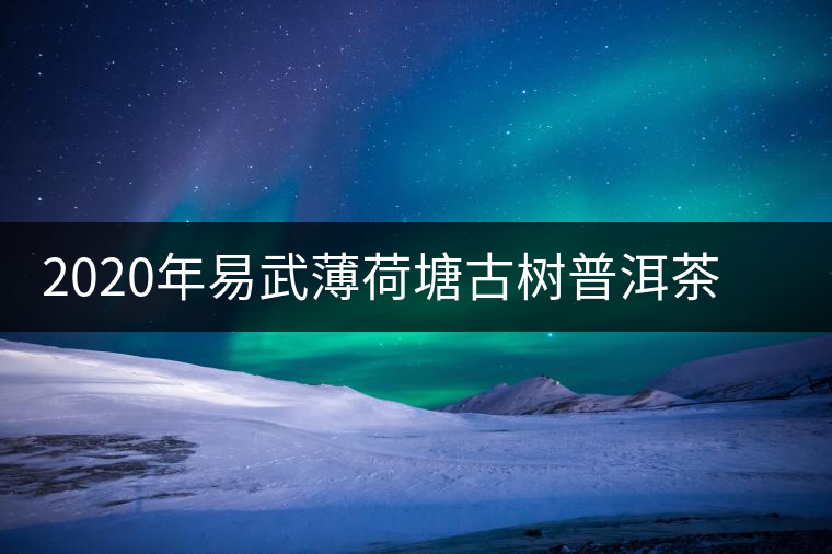 2020年易武薄荷塘古樹普洱茶特點(diǎn)，價(jià)格又上漲了嗎？