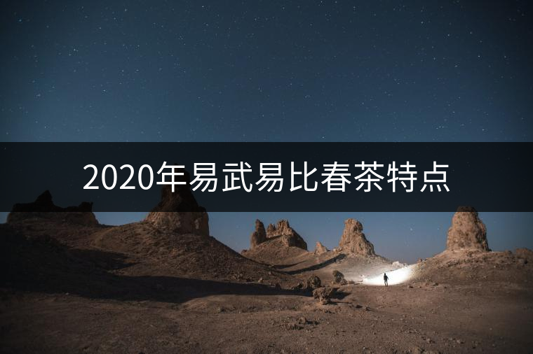2020年易武易比春茶特點 2020年易武易比春茶特點