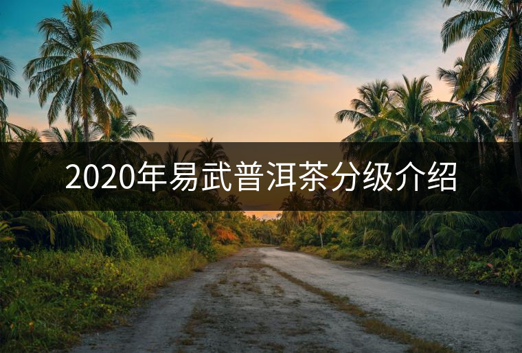 2020年易武普洱茶分級(jí)介紹