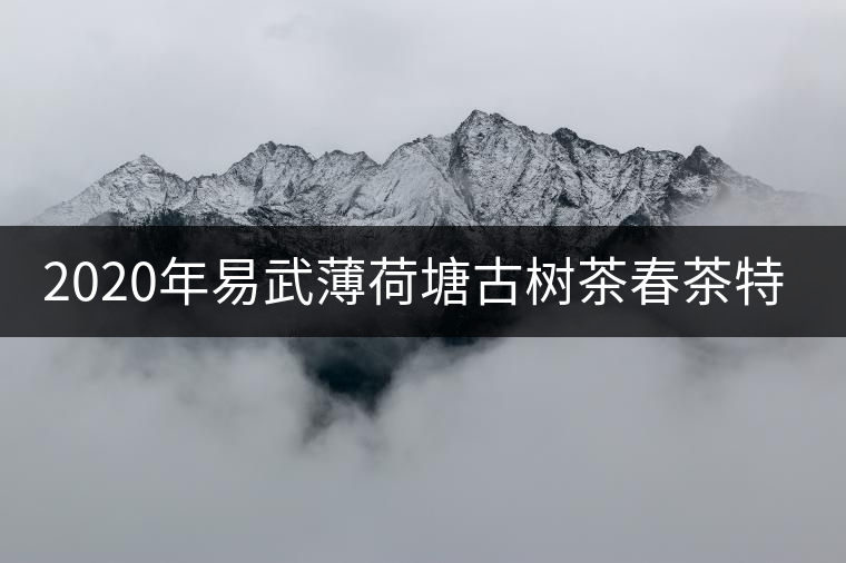 2020年易武薄荷塘古樹(shù)茶春茶特征