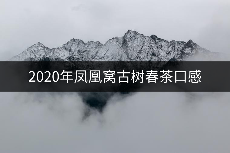 2020年鳳凰窩古樹春茶口感 2020年鳳凰窩古樹春茶口感