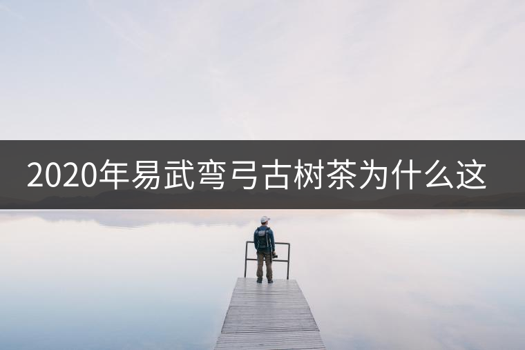 2020年易武彎弓古樹(shù)茶為什么這么貴？