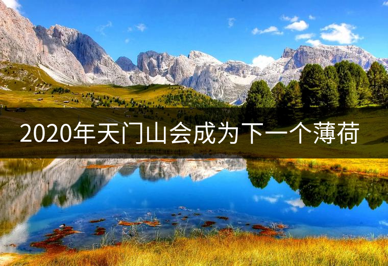 2020年天門山會成為下一個薄荷塘嗎？