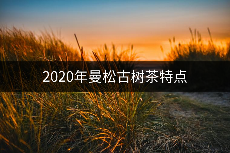 2020年曼松古樹茶特點