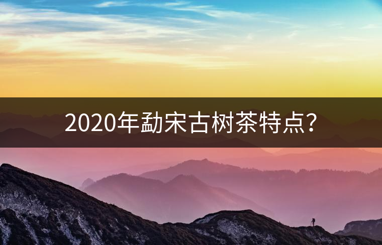 2020年勐宋古樹茶特點(diǎn)？