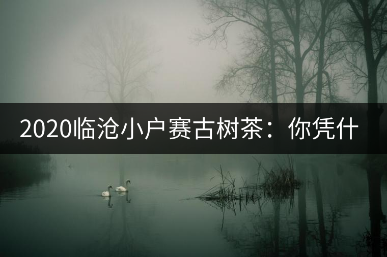 2020臨滄小戶賽古樹茶：你憑什么當冰島賣？