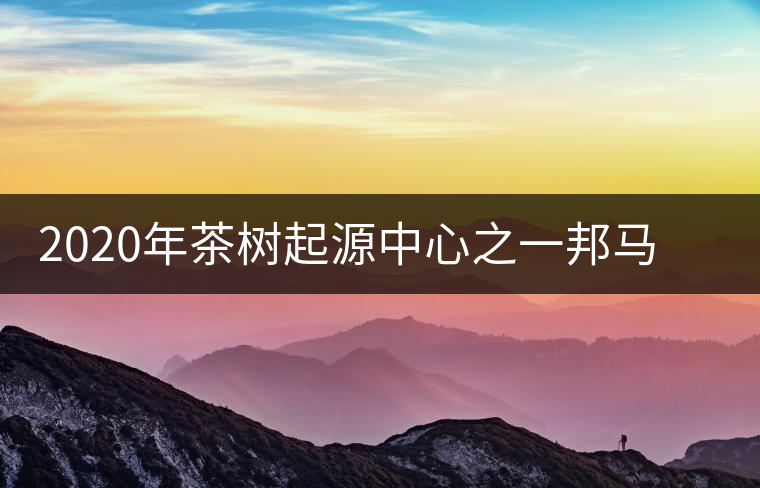 2020年茶樹起源中心之一邦馬大雪山上有哪些神秘的村寨？