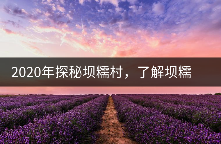 2020年探秘壩糯村，了解壩糯藤條茶的真相