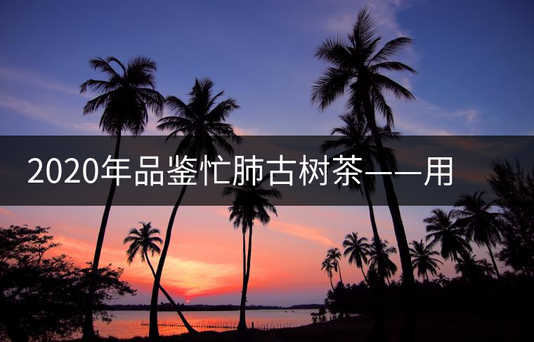 2020年品鑒忙肺古樹茶——用誠意獻(xiàn)上一杯好茶 2020年品鑒忙肺古樹茶——用誠意獻(xiàn)上一杯好茶