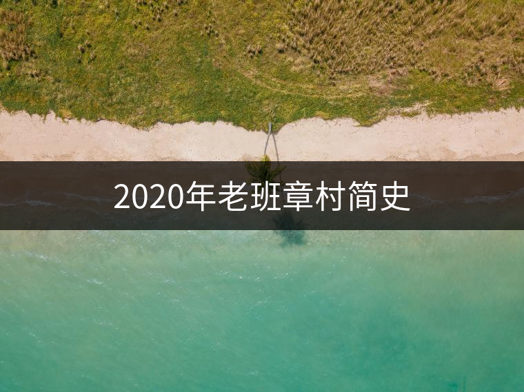 2020年老班章村簡史 2020年老班章村簡史