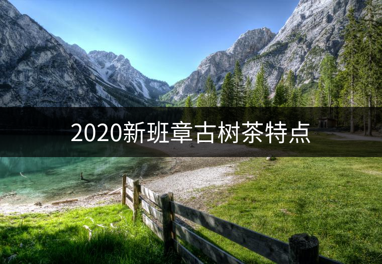 2020新班章古樹茶特點 2020新班章古樹茶特點