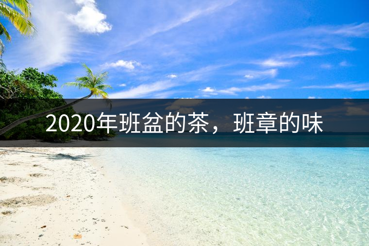 2020年班盆的茶，班章的味