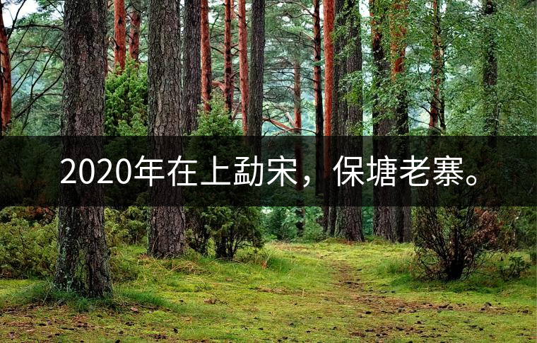 2020年在上勐宋，保塘老寨。