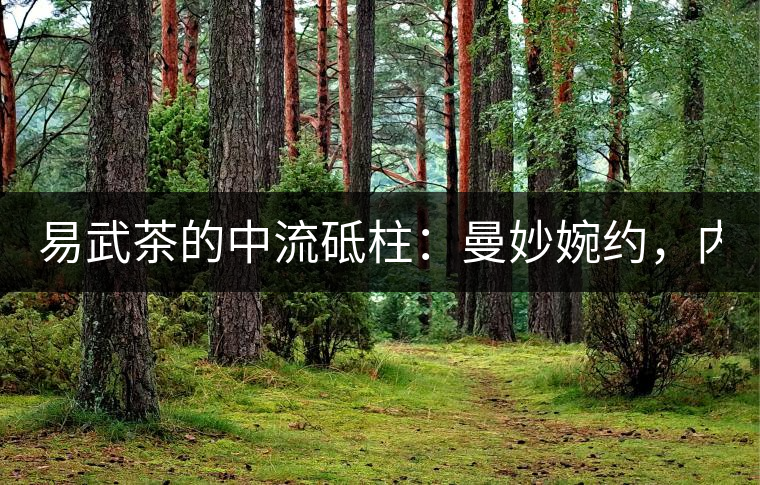 易武茶的中流砥柱:曼妙婉約,內(nèi)秀于心——2020年曼秀古樹春茶特點 易武茶的中流砥柱:曼妙婉約,內(nèi)秀于心——2020年曼秀古樹春茶特點