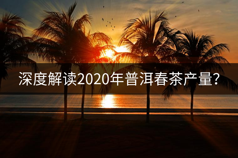 深度解讀2020年普洱春茶產(chǎn)量？