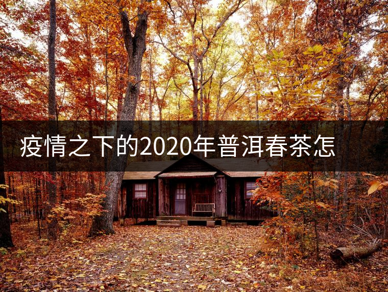 疫情之下的2020年普洱春茶怎么辦？春天會(huì)遲到，但一定會(huì)來