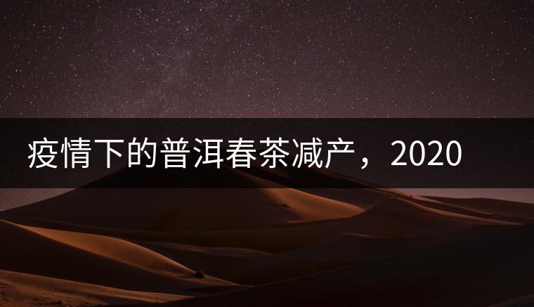 疫情下的普洱春茶減產(chǎn)，2020年價(jià)格“兩極分化”或成常態(tài)？