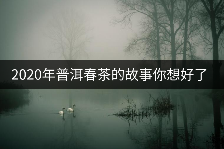 2020年普洱春茶的故事你想好了嗎？