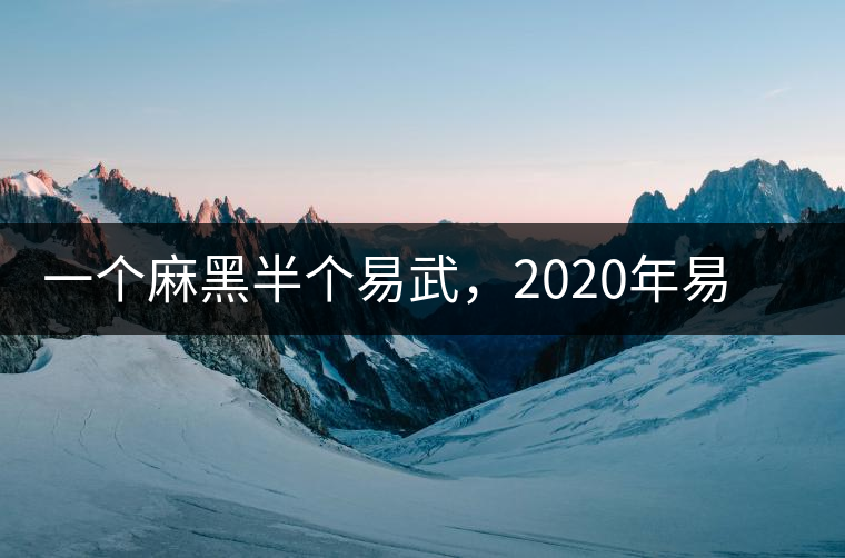 一個麻黑半個易武，2020年易武麻黑古樹春茶介紹