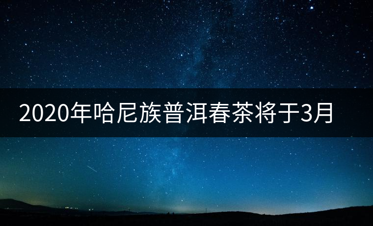 2020年哈尼族普洱春茶將于3月分開采 2020年哈尼族普洱春茶將于3月分開采