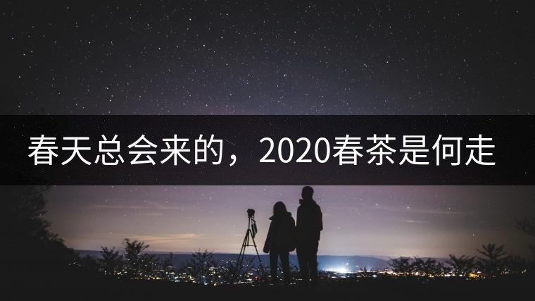 春天總會來的，2020春茶是何走勢？