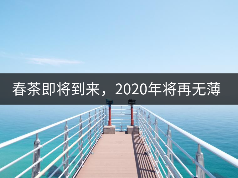 春茶即將到來(lái)，2020年將再無(wú)薄荷塘？