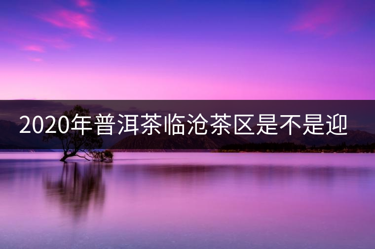 2020年普洱茶臨滄茶區(qū)是不是迎來最好機遇？