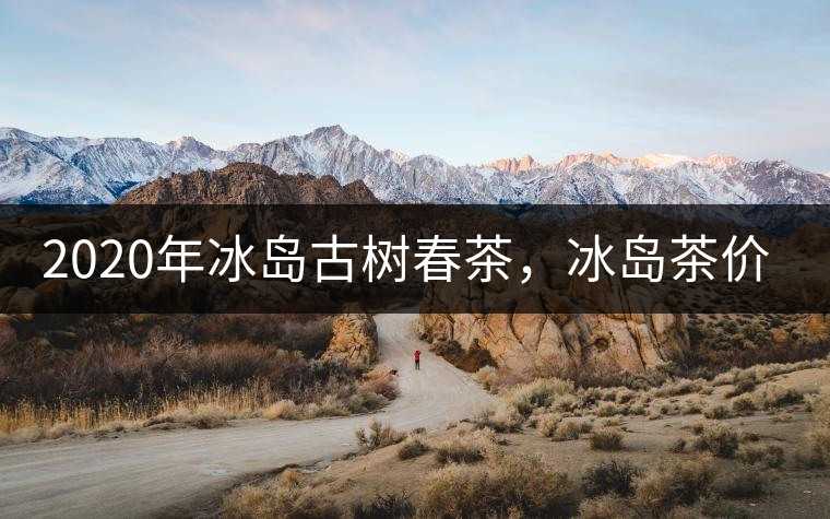 2020年冰島古樹(shù)春茶，冰島茶價(jià)格貴在哪里？