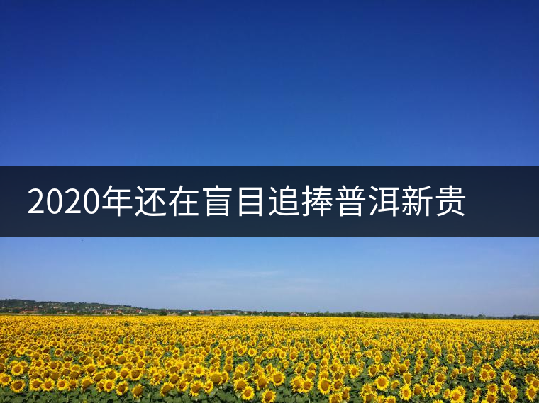 2020年還在盲目追捧普洱新貴“貓耳朵”？我們深入產(chǎn)區(qū)為你揭示最真實(shí)的“貓耳朵”！