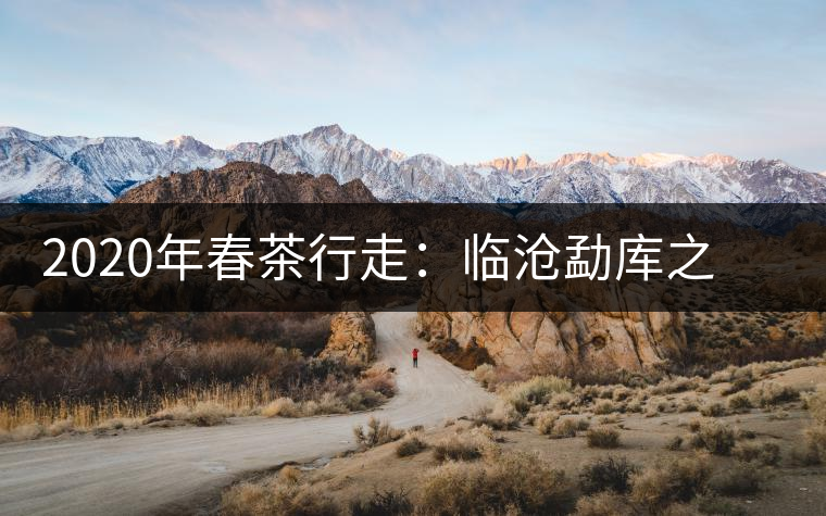 2020年春茶行走：臨滄勐庫之美，不只是冰島普洱茶香