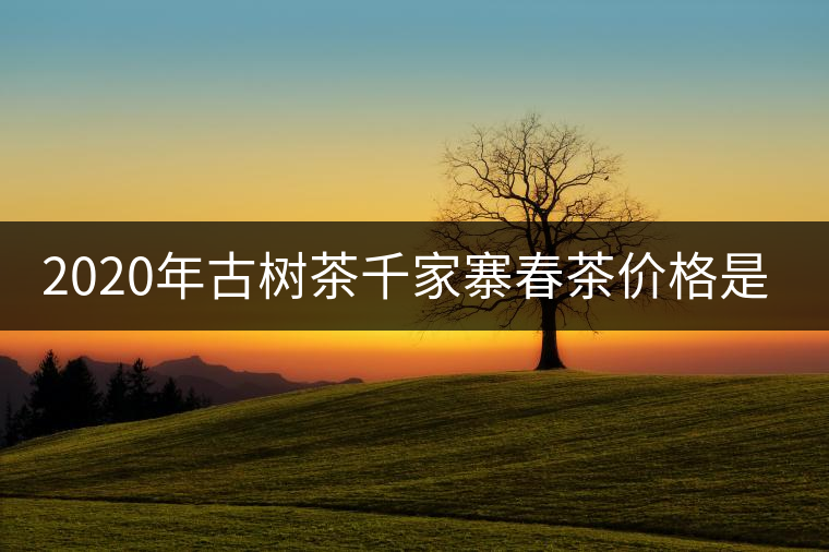 2020年古樹(shù)茶千家寨春茶價(jià)格是多少？