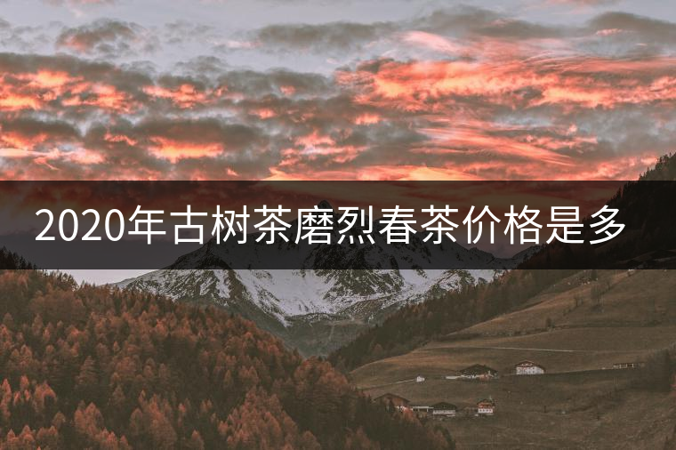 2020年古樹茶磨烈春茶價(jià)格是多少？