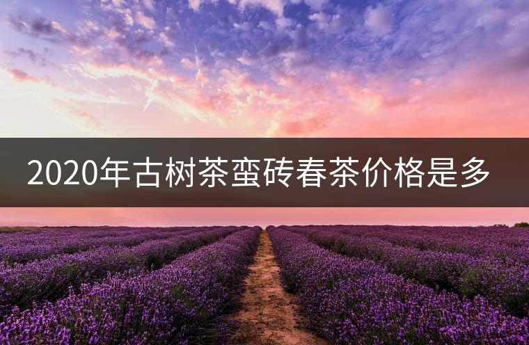 2020年古樹茶蠻磚春茶價(jià)格是多少？