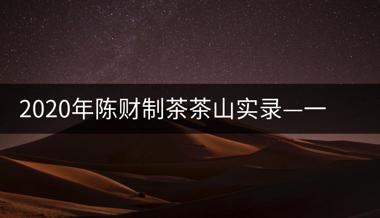 2020年陳財制茶茶山實錄—一手提7山，感受小產(chǎn)區(qū)的奧秘