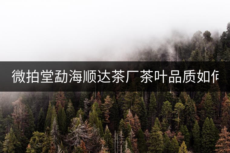 微拍堂勐海順達(dá)茶廠茶葉品質(zhì)如何？