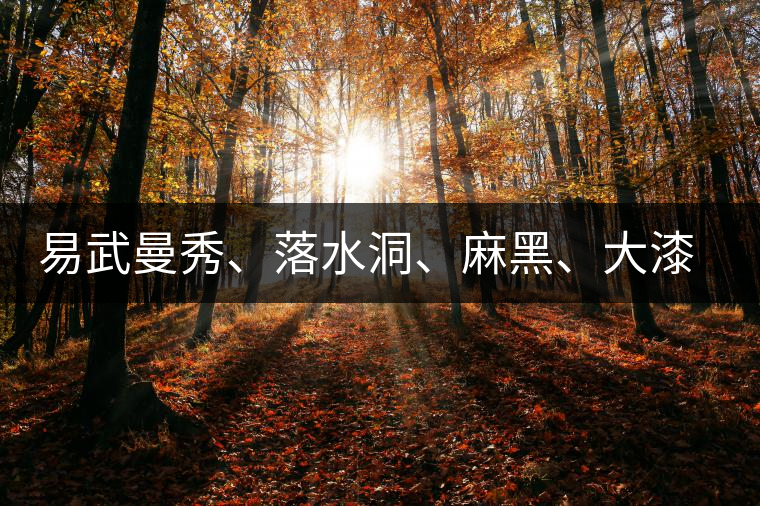 易武曼秀、落水洞、麻黑、大漆樹等你更喜歡哪個茶？