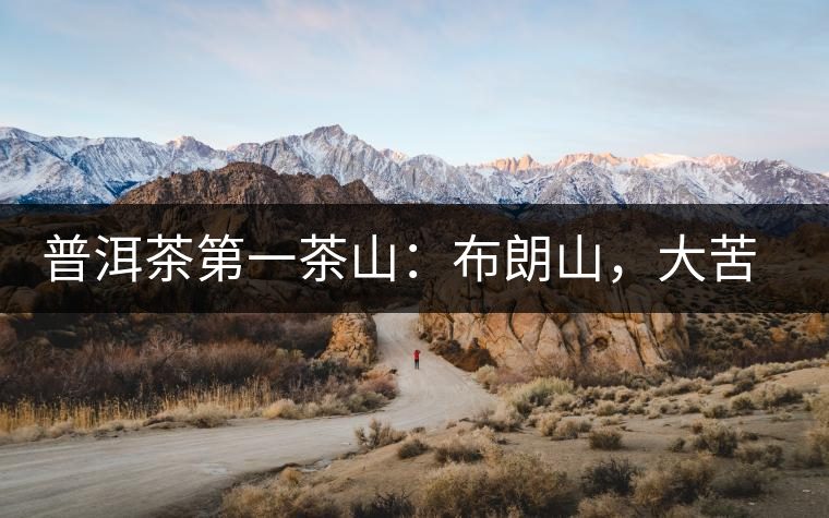 普洱茶第一茶山：布朗山，大苦大甘是它的魂