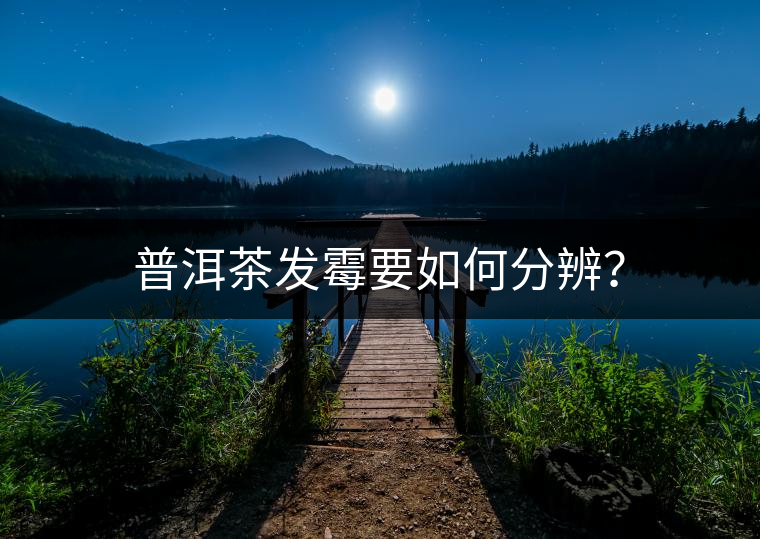 普洱茶發(fā)霉要如何分辨？