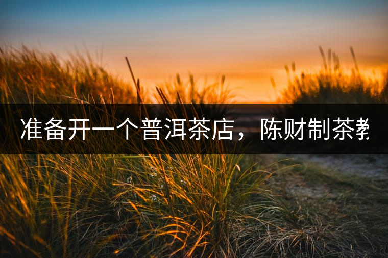 準(zhǔn)備開(kāi)一個(gè)普洱茶店，陳財(cái)制茶教你怎么做！