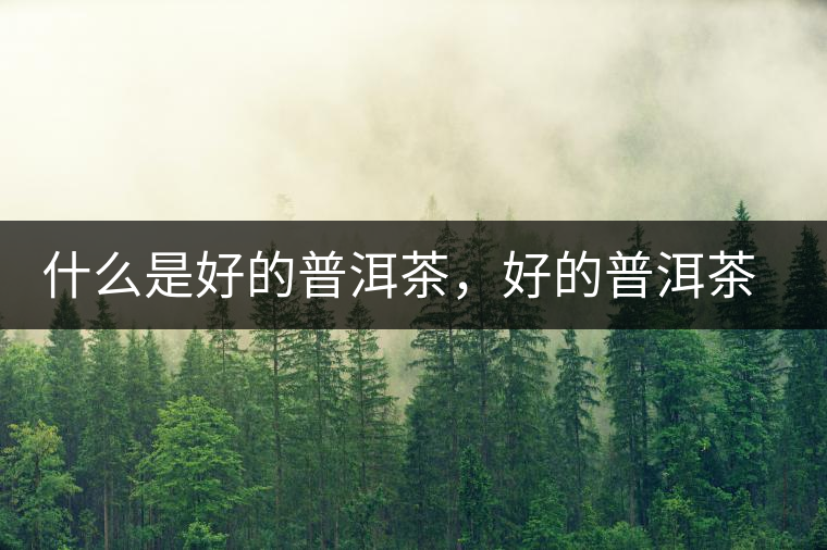 什么是好的普洱茶，好的普洱茶必須要有好的工藝！
