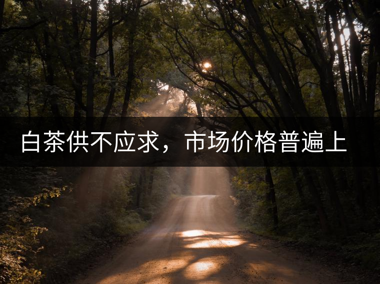 白茶供不應(yīng)求，市場價格普遍上漲？