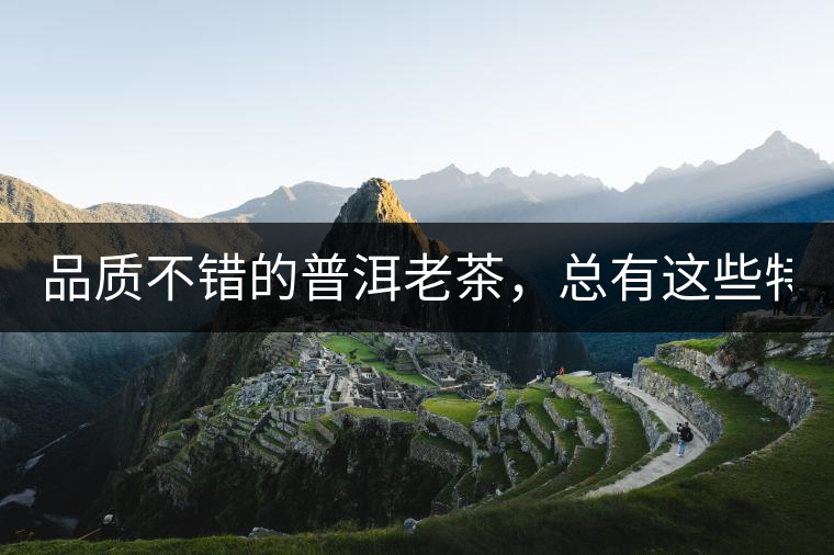 品質(zhì)不錯(cuò)的普洱老茶，總有這些特點(diǎn)！