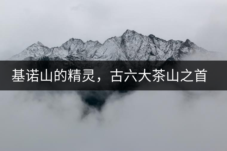 基諾山的精靈，古六大茶山之首武侯遺種攸樂(lè)古樹(shù)茶