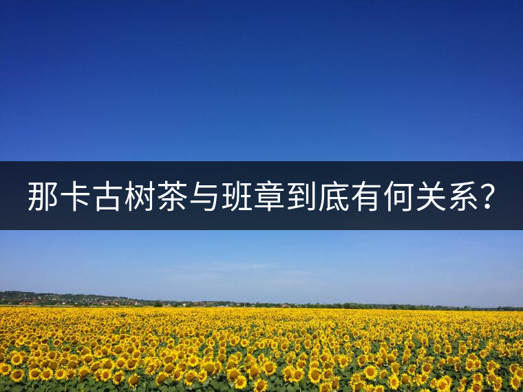 那卡古樹茶與班章到底有何關(guān)系？