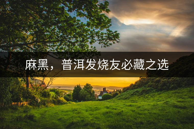 麻黑，普洱發(fā)燒友必藏之選