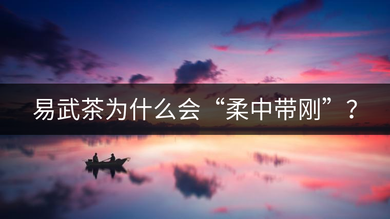 易武茶為什么會“柔中帶剛”？